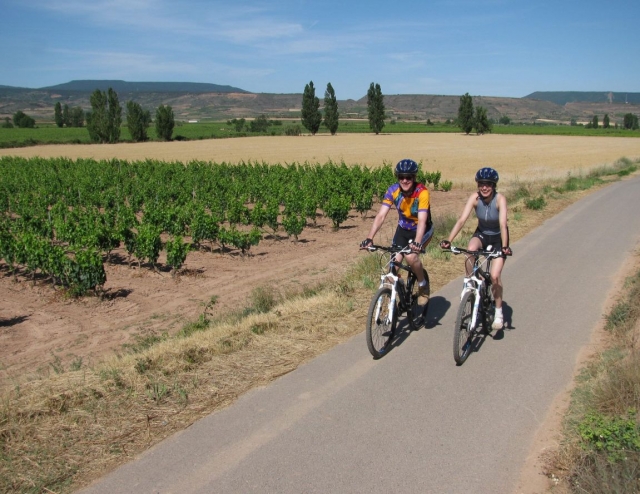  沿着葡萄藤骑行 